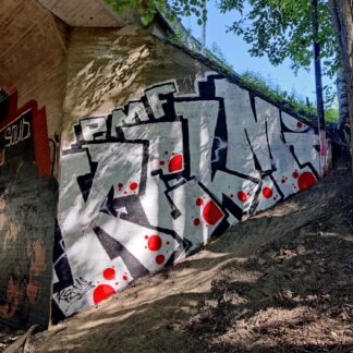 Katutaidekävelykierros Haapaniemellä 26.7.