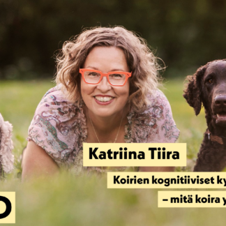 LUENTO: Katriina Tiira: Koirien kognitiiviset kyvyt – mitä koira ymmärtää? (4205019)